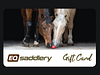 EQSaddlery-01